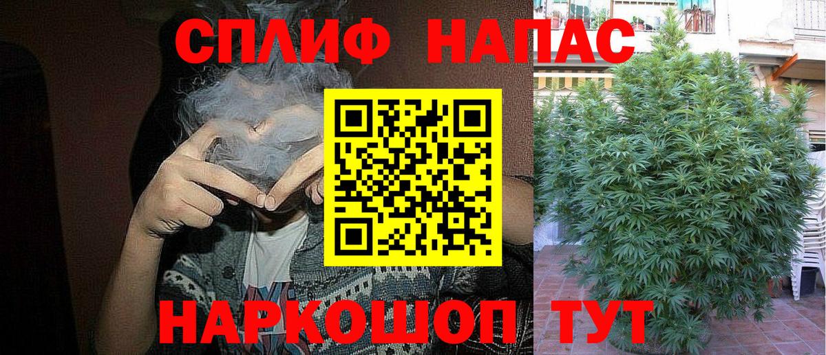 Конопля SATIVA & INDICA  Канабис AK-47  Семилуки  МАРИХУАНА AK-47  Вход с VPN 